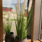 Oceanfront In Lofoten With Panoramic View *