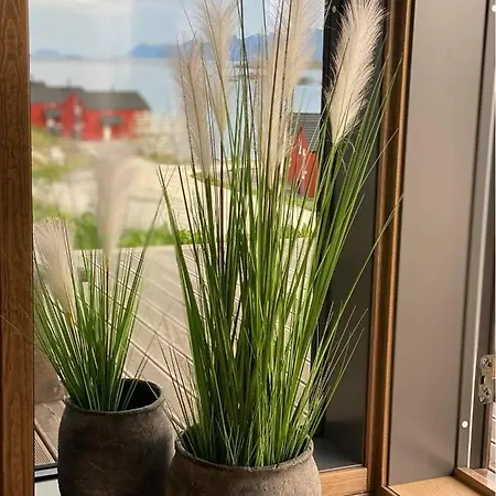 Oceanfront In Lofoten With Panoramic View *