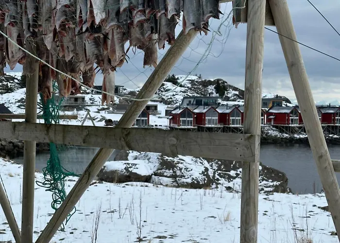 Oceanfront Cabin In Lofoten With Panoramic View Tatil Evi