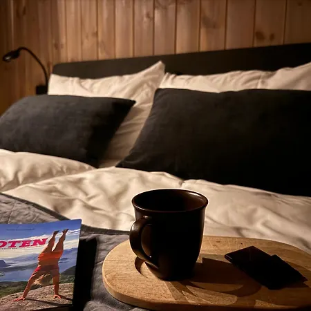 Northern Lights Oceanfront Lofoten Ballstad